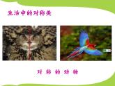 美術(shù)二年級(jí)上冊(cè)課件-8.對(duì)印的圖形1-人教版