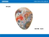 美術六年級上冊課件-7.漂浮的畫2-人教版