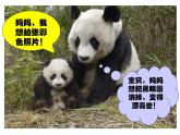 美術(shù)三年級(jí)上冊(cè)課件-6.黑與白1-人教版