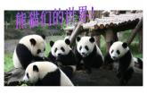 美術(shù)三年級(jí)上冊(cè)課件-6.黑與白1-人教版