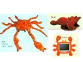 苏少版 二年级美术上册 13.虾和蟹（一） 课件