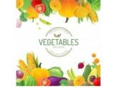 蔬菜的联想PPT课件免费下载