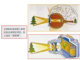 蘇少版 二年級美術上冊 9.亮眼睛 課件