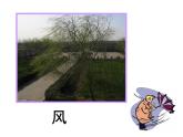 蘇少版 二年級(jí)美術(shù)上冊(cè) 15.自然現(xiàn)象 課件