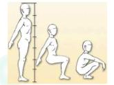 苏少版 六年级美术上册 8.画人物 课件
