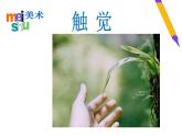 苏少版 二年级美术上册 18.画触觉 课件