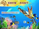 蘇少版 二年級(jí)美術(shù)上冊(cè) 14.蝦和蟹（二）課件