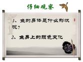 蘇少版 三年級美術上冊 11.水墨畫動物 課件
