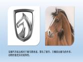 蘇少版 三年級(jí)美術(shù)上冊(cè) 12.動(dòng)物裝飾畫 課件