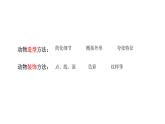 蘇少版 三年級(jí)美術(shù)上冊(cè) 12.動(dòng)物裝飾畫 課件