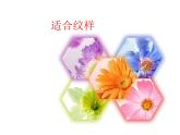 蘇少版 四年級美術(shù)上冊 18.適合紋樣 課件