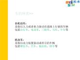 蘇少版 四年級(jí)美術(shù)上冊(cè) 3.車(chē)（一）課件