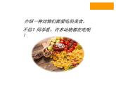 蘇少版 三年級美術(shù)上冊 16.手提袋 課件