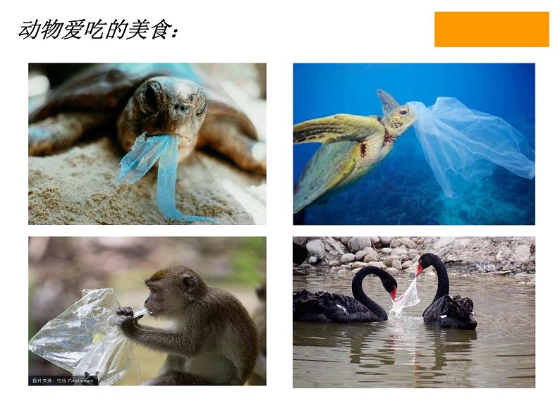 苏少版 三年级美术上册 16.手提袋 课件03