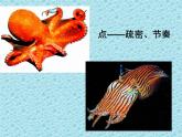 蘇少版 四年級(jí)美術(shù)上冊(cè) 7.海洋怪獸 課件