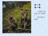水墨畫動物PPT課件免費下載