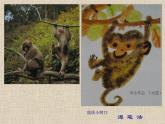 水墨畫動物PPT課件免費下載