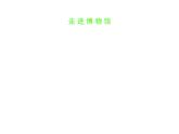 玉石文化（二）PPT課件免費下載