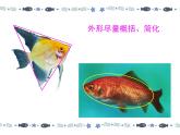 蘇少版 四年級美術(shù)上冊 9.魚的紋樣 課件