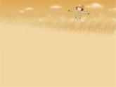 蘇少版 三年級美術(shù)上冊 16.手提袋 課件