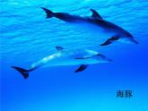 苏少版 四年级美术上册 8.做做海洋生物 课件