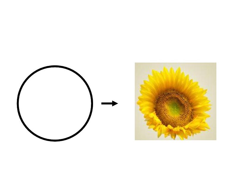 一年级美术上册课件-4.圆圆的世界1-苏少版03
