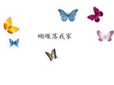 四年級(jí)美術(shù)上冊(cè)課件-14. 蝴蝶落我家1-湘美版
