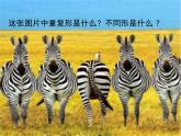 四年級(jí)美術(shù)上冊(cè)課件-12. 一模不一樣2-湘美版
