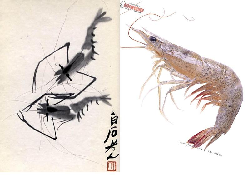 五年级美术上册课件-6. 水墨动物2-湘美版05