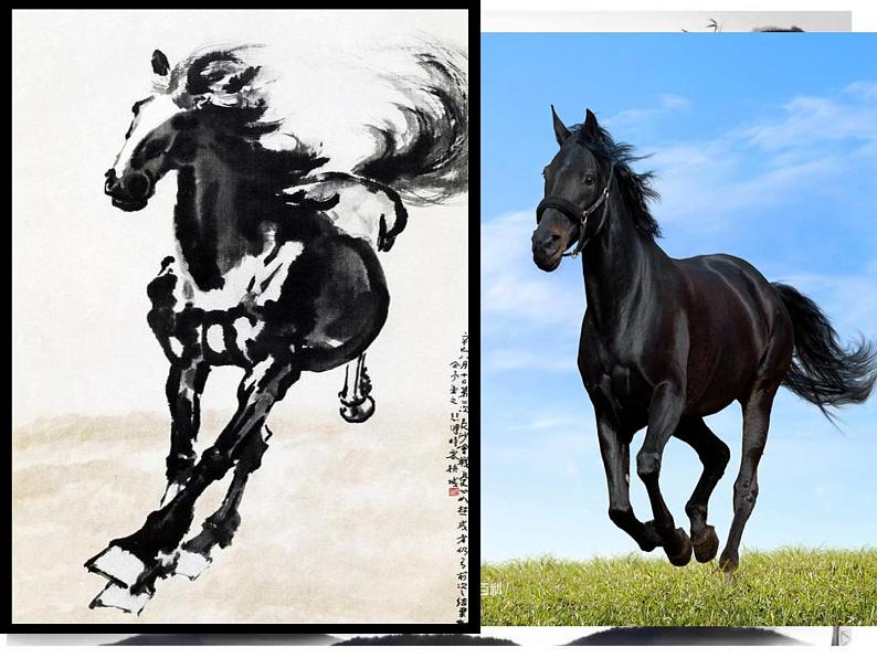 五年级美术上册课件-6. 水墨动物2-湘美版06