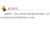 四年級(jí)美術(shù)上冊(cè)課件-3. 周末日記2-湘美版