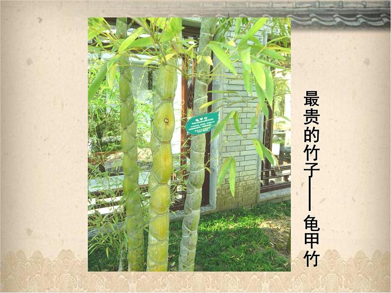 五年级美术上册课件-4.风景如画（一）1-苏少版03