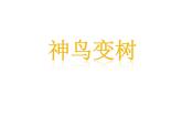 湘美版二年級美術(shù)上冊 15.神鳥變樹課件PPT
