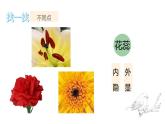 第10課 美麗的花（3）（課件）美術三年級上冊-人教版