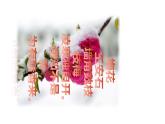 湘美版一年級(jí)美術(shù)上冊(cè) 1.大家一起畫課件PPT