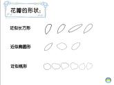 湘美版一年級美術(shù)上冊 21.鳥語花香（10）課件PPT