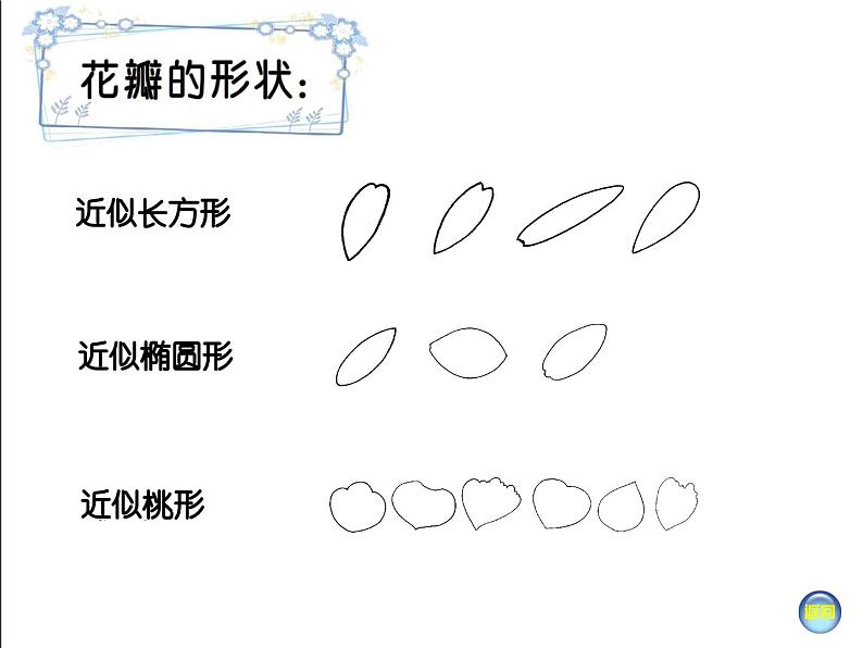 湘美版一年级美术上册 21.鸟语花香（10）课件PPT第5页