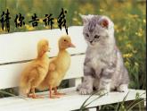 18.請(qǐng)你告訴我 （課件）美術(shù)二年級(jí)上冊(cè)-湘美版