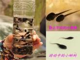 21.翻新的紙盒 （課件）美術(shù)二年級(jí)上冊(cè)-湘美版