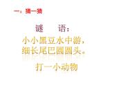 10.小蝌蚪 （課件）美術(shù)二年級上冊-湘美版