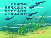 10.小蝌蚪 （課件）美術(shù)二年級上冊-湘美版