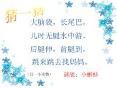 湘美版二年級(jí)美術(shù)上冊(cè) 10.小蝌蚪 課件