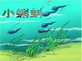 湘美版二年級(jí)美術(shù)上冊(cè) 10.小蝌蚪 課件