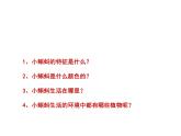 湘美版二年級(jí)美術(shù)上冊(cè) 10.小蝌蚪 課件