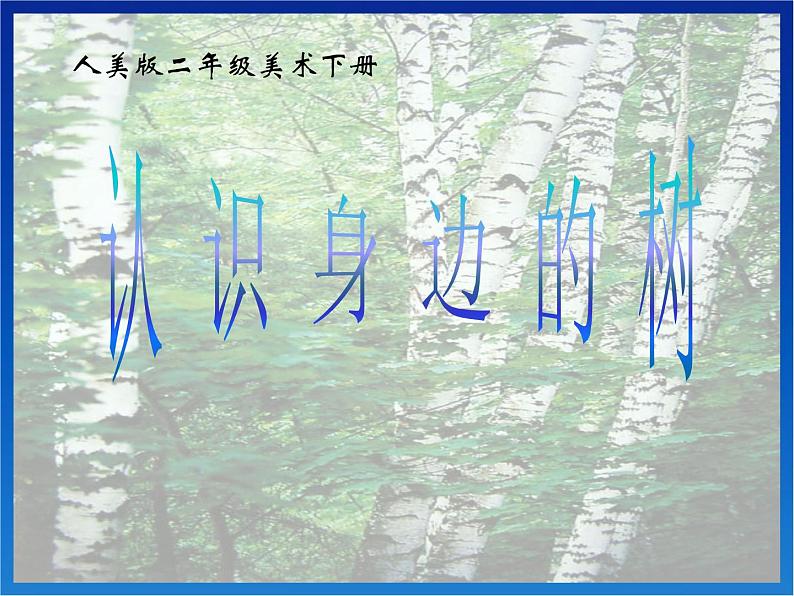 人美版小学二年级美术下册《第3课 认识身边的树》课件第2页