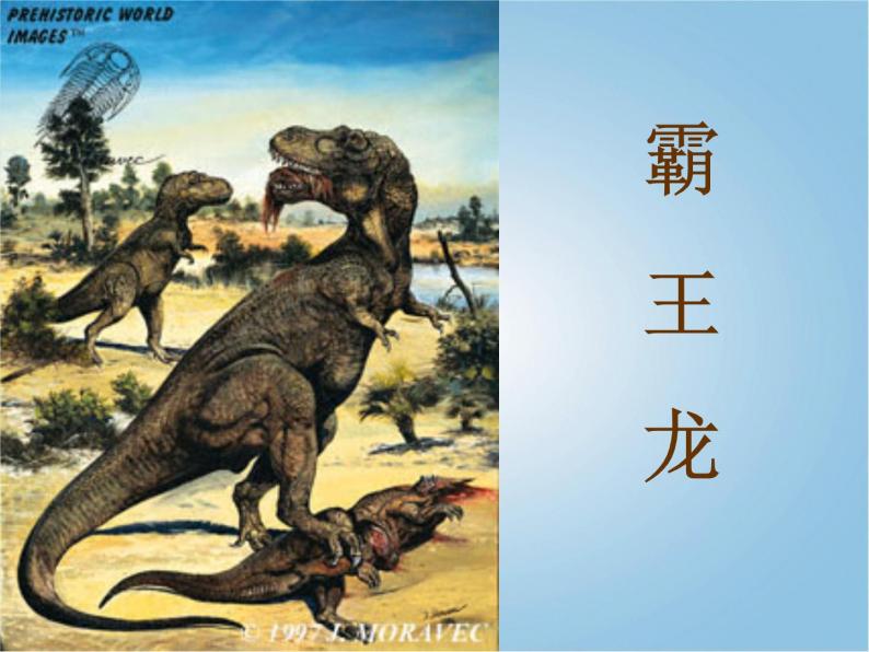 人美版小学三年级美术下册《第1课恐龙世界》课件 (1)08