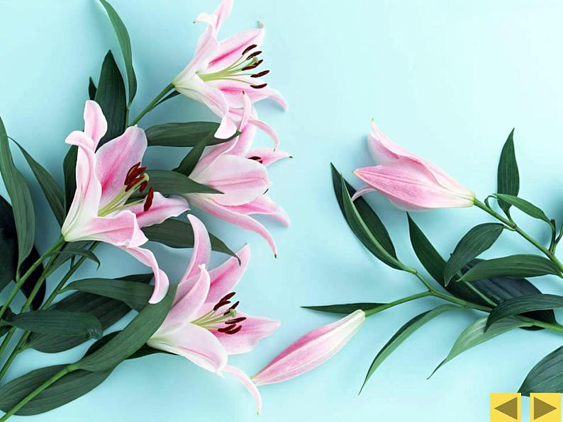 人美版小学三年级美术下册《第8课别致的小花瓶》课件 (1)第2页