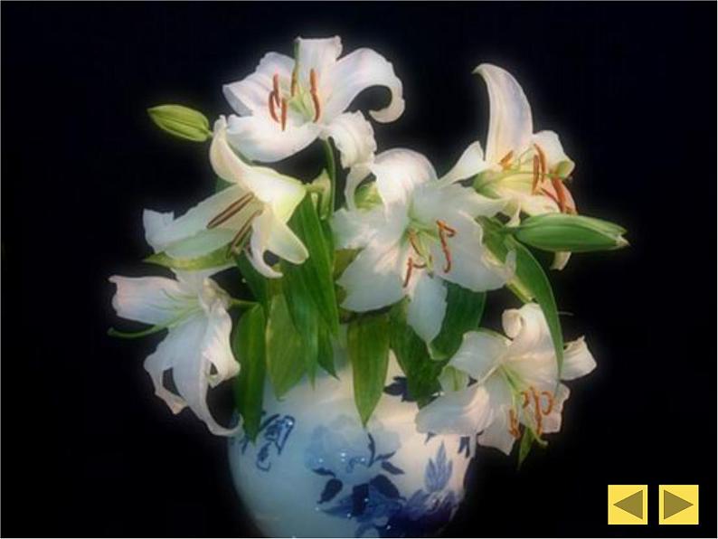 人美版小学三年级美术下册《第8课别致的小花瓶》课件 (1)第3页