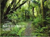 5《变幻的画面》课件+素材