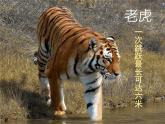 5《变幻的画面》课件+素材